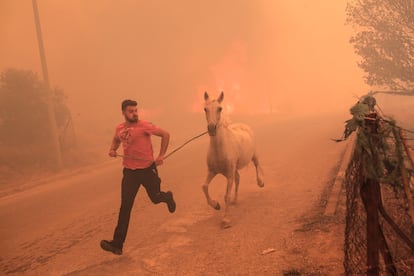 Un granjero huye de las llamas junto de su caballo, durante los incendios de Grecia, el martes.