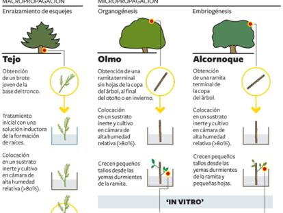 De tal palo tal astilla
