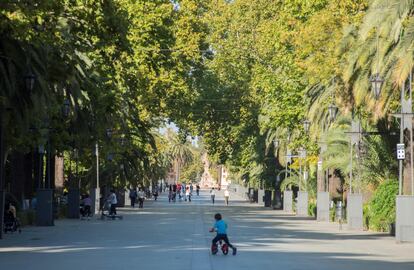 Vista del Paseo de Linarejos, en el centro de Linares, este martes.