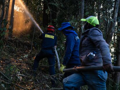 Bomberos intentan detener el incendio forestal en Nemocón (Cundinamarca), el 24 de enero.
