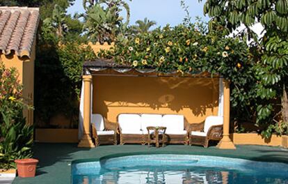 Un rincón con cubierta vegetal al borde de la piscina del Albero Lodge.
