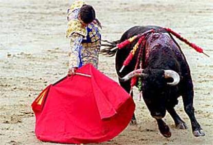 Morante de la puebla en un pase al primer toro de la tarde.