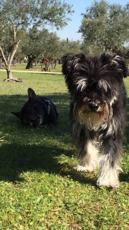 Matilda, después de engañar a todos.