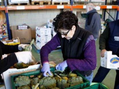 Varios voluntarios clasifican alimentos en uno de los almacenes del Banco de Alimentos de Gipuzkoa.