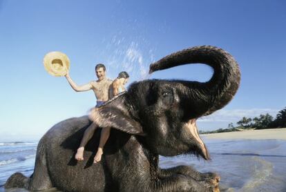 Turistas montados en un elefante en la playa de Bentota, Sri Lanka.