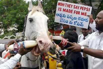 Manifestantes en India dan refrescos a un caballo bajo un cartel que señala: " Dicen que la Pepsi está hecha para mí".