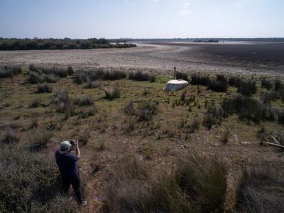 Estado actual de la Laguna de Santa Olalla en el Parque Nacional de Doñana.