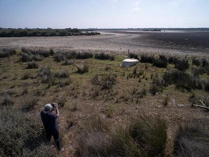 Estado actual de la Laguna de Santa Olalla en el Parque Nacional de Doñana.