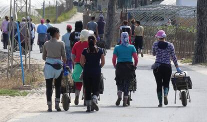 Un grupo de mujeres se dirige al tajo a recoger fresas en una finca de la localidad onubense de Palos de la Frontera.