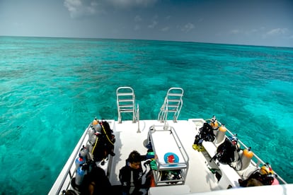 El arrecife de coral de Belice es el segundo más grande del mundo y auténtica joya turística del país.