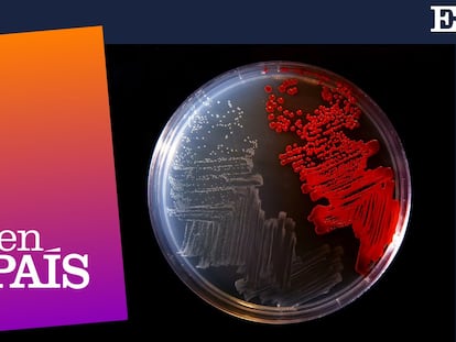 ¿Será la próxima pandemia de superbacterias?