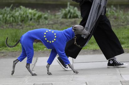 Um manifestante participa da marcha com seu cão vestido com as cores da bandeira europeia.