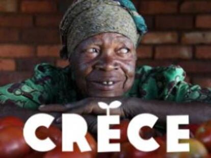 ¿Cómo alimentar a 9.000 millones de personas?