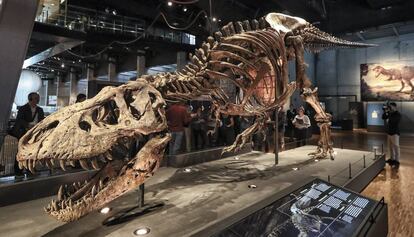 El enorme tiranosaurio que puede verse en Cosmocaixa de Barcelona.