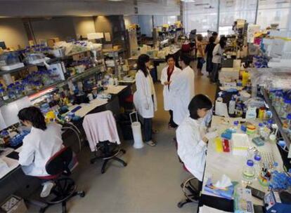 Laboratorio del Centro Nacional de Investigaciones Cardiovasculares, en Madrid.