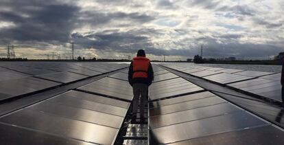 Un técnico camina por la planta Sekdoorn, en Zwolle, Países Bajos.