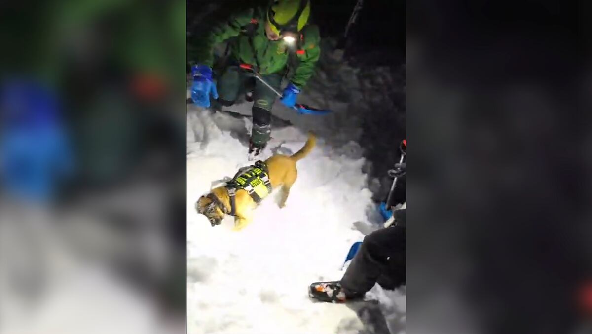 Hallado el cuerpo del montañero atrapado por un alud en Huesca | España ...