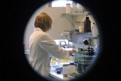 La química del laboratorio del Instituto de Protección del Consumidor de la Baja Sajonia, Frederike Hahn, analiza una muestra de huevos contaminados con dioxina.