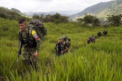 Miembros de las FARC caminan hacia un campamento en Antioquia