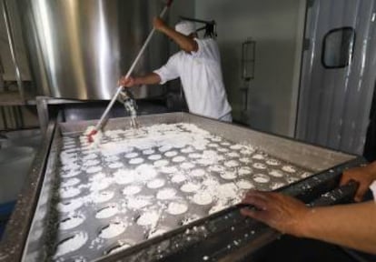 En la fábrica se producen 50.000 kilos de queso cada año.