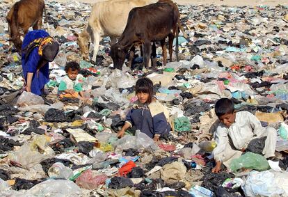 Niños iraquíes buscan en Bagdad comida entre la basura, junto a varias vacas, en una imagen fechada en septiembre de 2003.