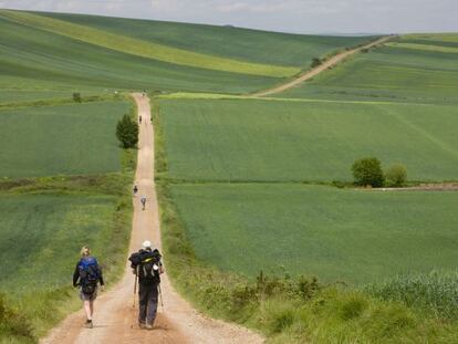 Peregrinos en el camino de Nájera a Santo Domingo de la Calzada, en La Rioja.