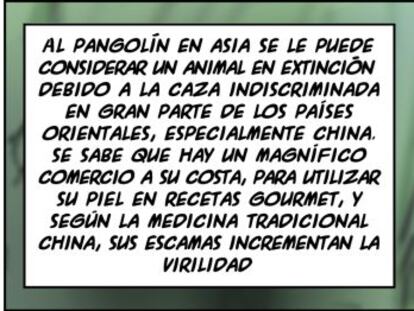 Ramón