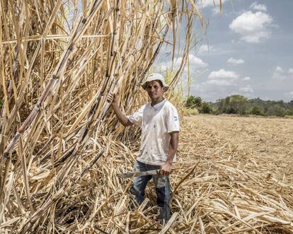 João Carlos Coelho Cardoso em sua propriedade em Balsas (Maranhão)