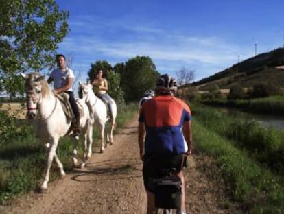 Horses and bikes along the Canal de Castilla.