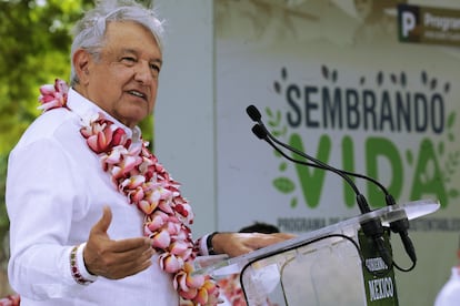 López Obrador, en un evento de Sembrando Vida en Oaxaca.