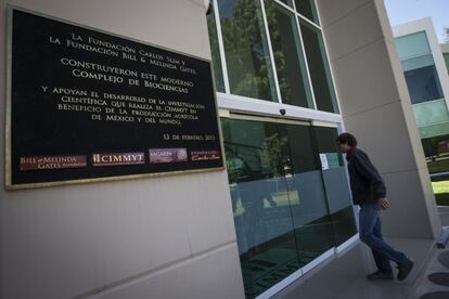 Las fundaciones del magnate mexicano Carlos Slim y de Bill y Melinda Gates también han apoyado la labor del Cimmyt. En 2013, el centro inauguró nuevos laboratorios de biociencia y bioseguridad e invernaderos. Además se ampliaron y remodelaron los dormitorios para investigadores, pues una parte de ellos residen en las instalaciones. La Fundación de Carlos Slim aportó 25 millones de dólares para ese proyecto. Los Gates financian programas en terreno desde comienzo de la década del 2000. El Cimmyt se encuentra en la ciudad de Texcoco, a 45 minutos en coche del Distrito Federal, la capital del país.