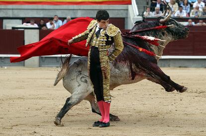 El diestro Paco Ureña con su primer toro de la tarde, en el segundo festejo de la Feria de San Isidro de Madrid. Ureña compartió cartel con los diestros César Jiménez y Octavio García, 'El Payo', con toros de la ganadería Fuente Ymbro.