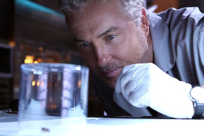 Gil Grissom (interpretado por William Petersen) en un capítulo de 'CSI: Las Vegas).