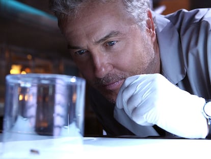 Gil Grissom (interpretado por William Petersen) en un capítulo de 'CSI: Las Vegas).