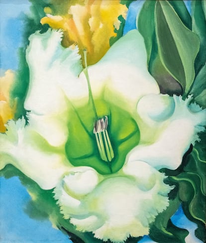 'Cup of Silver Ginger' (Georgia O’Keeffe, 1939).
