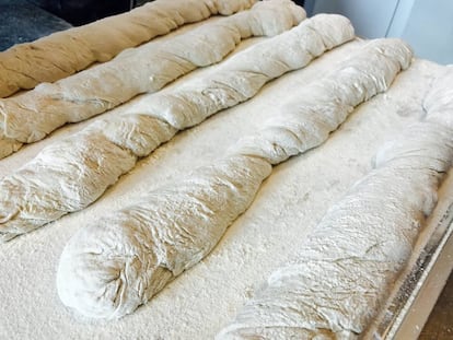 PARAFUSOS ANTES DE ENTRAR EN EL HORNO / CAPEL