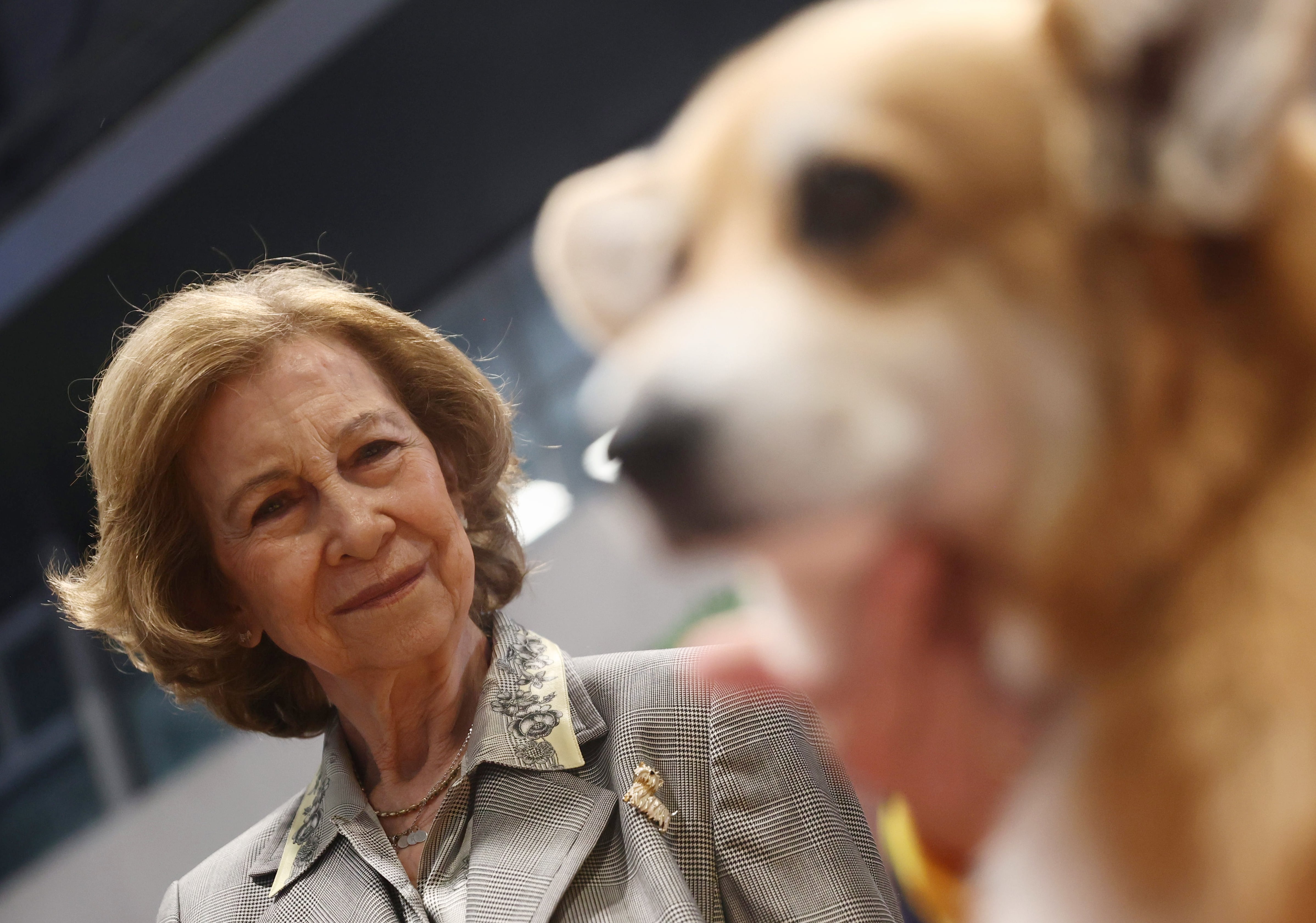 La reina Sofía tendrá su propia protectora de animales en Arganda del Rey