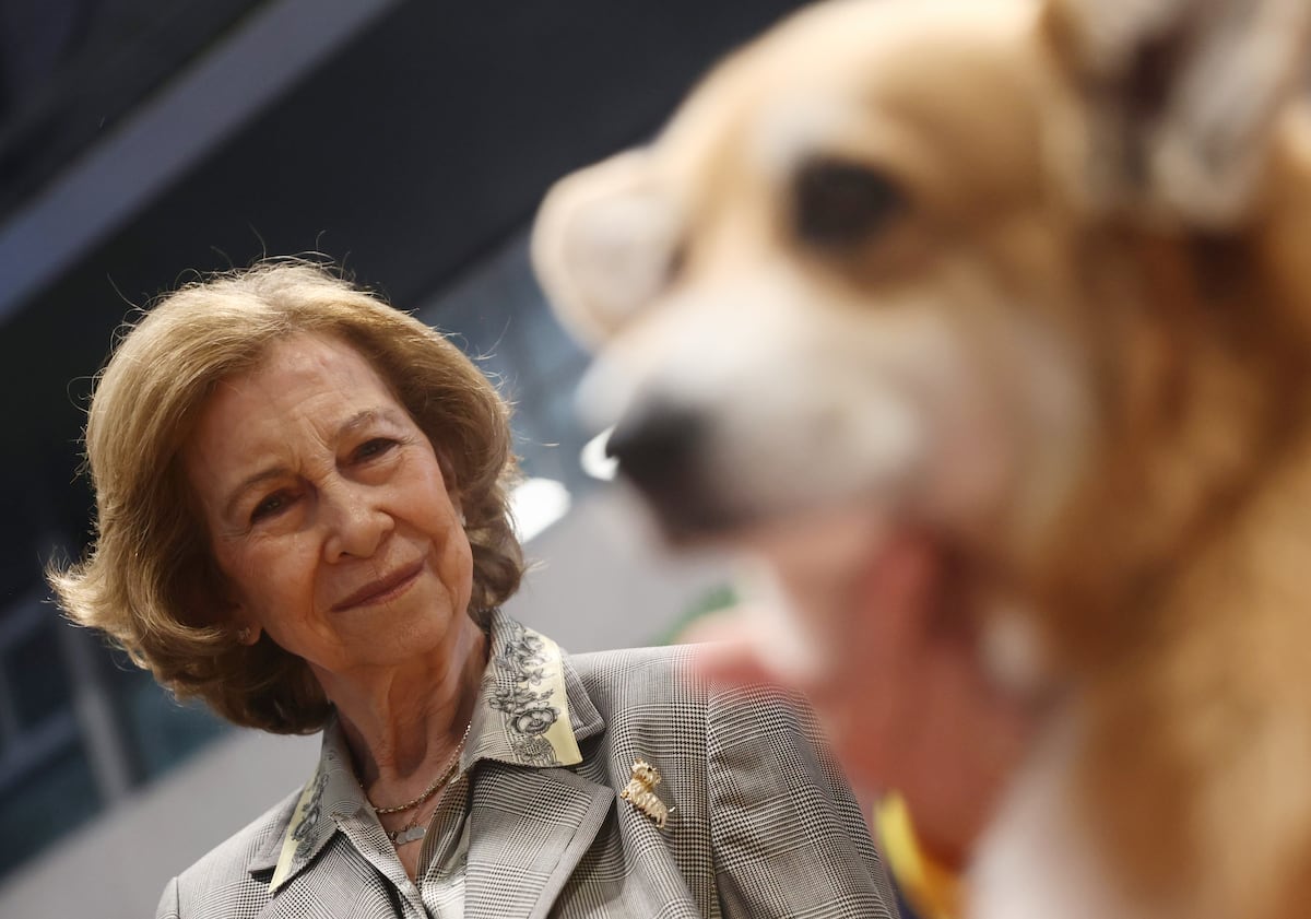 La reina Sofía tendrá su propia protectora de animales en Arganda del Rey