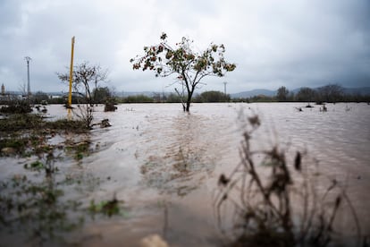 Imagen de las lluvias caídas en la comarca de La Ribera de Valencia.
