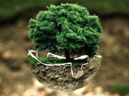 Por qué la economía verde será clave para el inversor