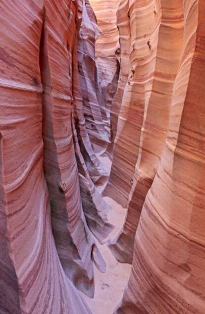 El cañón Zebra Slot, cerca de Escalante, en Utah (EE UU).