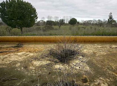 Una parcela del corredor verde dónde puede verse  aún el terreno contaminado.