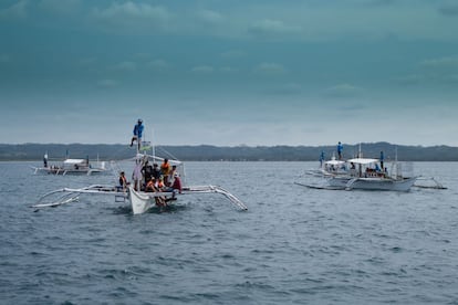 Los visitantes, en grupos de seis, alquilan barcas por 3.500 pesos (71 euros) para interactuar con los tiburones ballena en Donsol. El turismo local ha pasado de ingresar unos 370 a 452.000 euros por temporada en sólo una década.