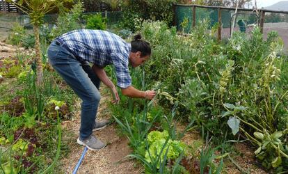 Iván Gilla cuidando el huerto de Manantial de Tara.