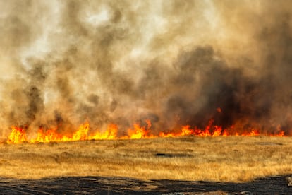 Línea de fuego sobre los pastos en Casar de Cáceres.