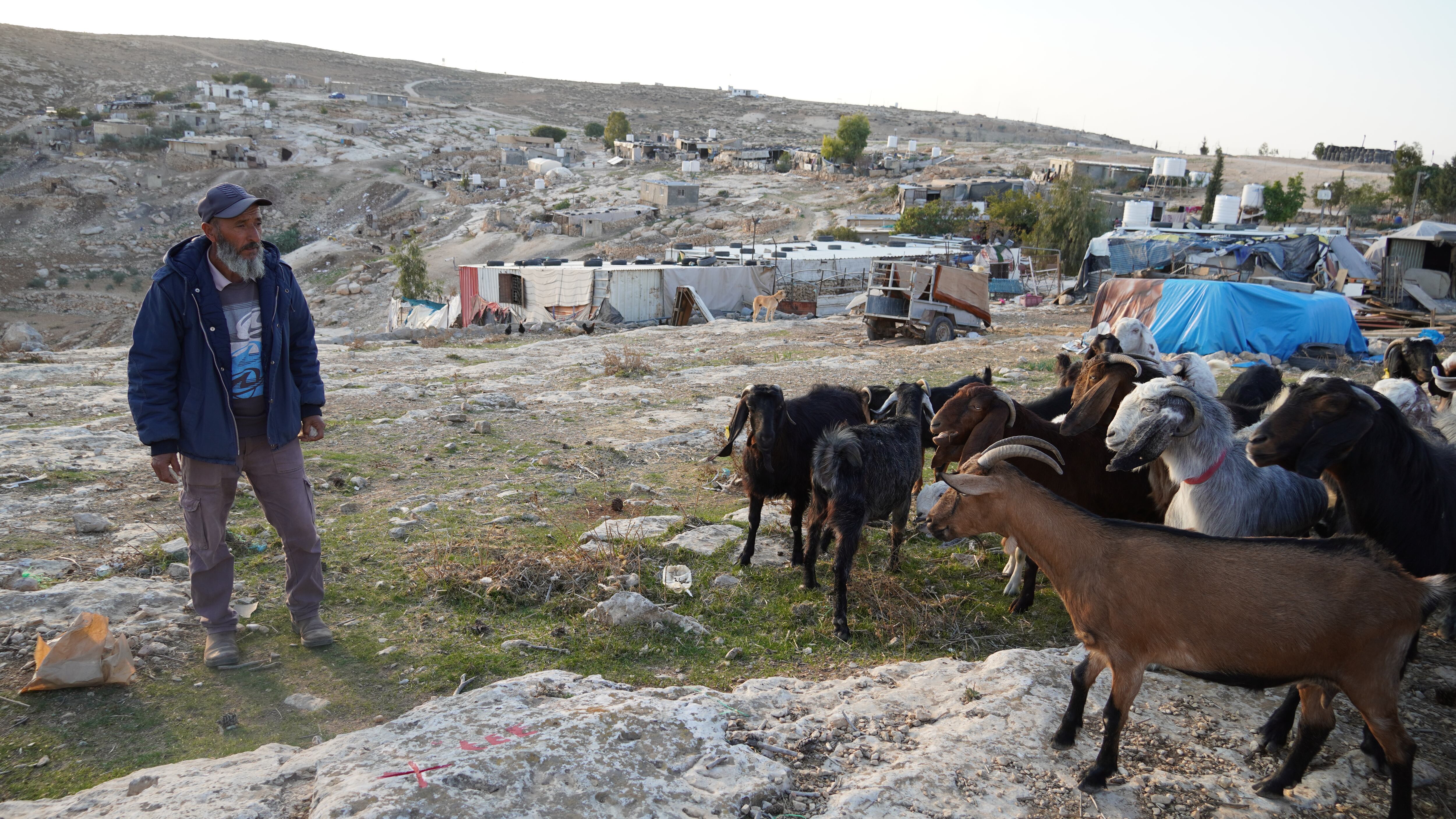 Gazem Hamamdi, con su ganado en la aldea de Jirbet Al Mufaqara, en Cisjordania, este jueves. 