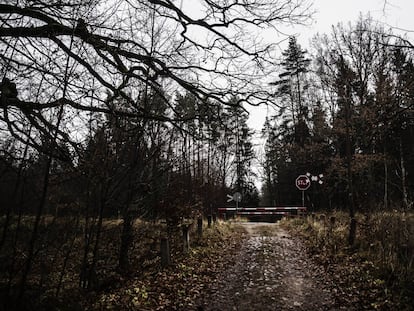 Paraje natural a ambos lados de la frontera entre Polonia y Bielorrusia, por donde cruzan los migrantes de manera irregular.