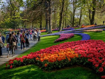 Visitantes en el jardín botánico de Keukenhof, Países Bajos.