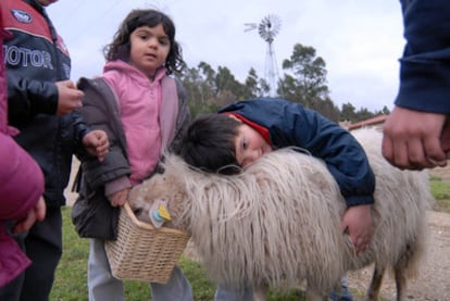 Un grupo de niños alimenta y acaricia a una de las ovejas de la <i>ecoescola</i> de Aldea Nova, en Narón.