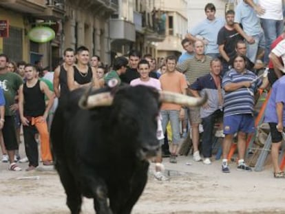 Imagen de unos festejos de `bous al carrer&acute; en la provincia de Castell&oacute;n.